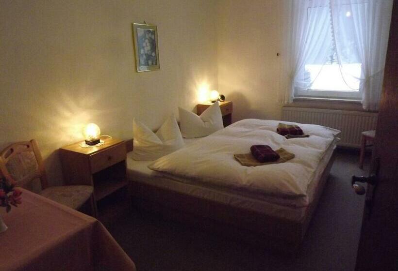 스탠다드 룸 공동 욕실, Pension Bodetal