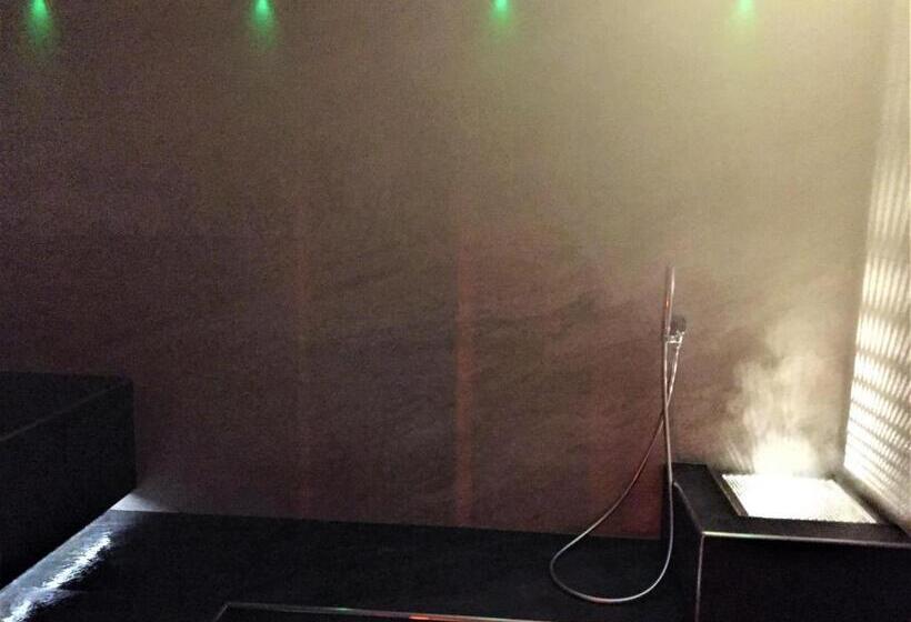 חדר סטנדרט עם כניסה לספא, Residence Hotel Miralago