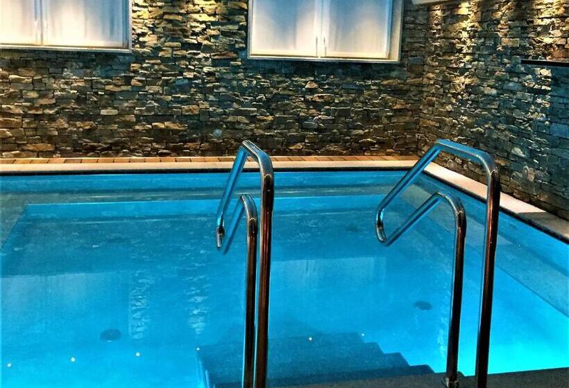 Номер Стандарт с доступом в Спа, Residence Hotel Miralago