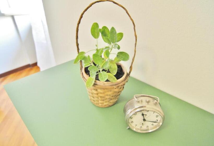 דירת שני חדרים, Aromi Piccolo