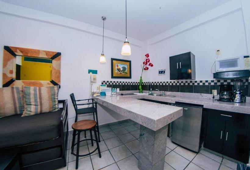 带1个卧室的公寓, Suites Nadia Puerto Vallarta