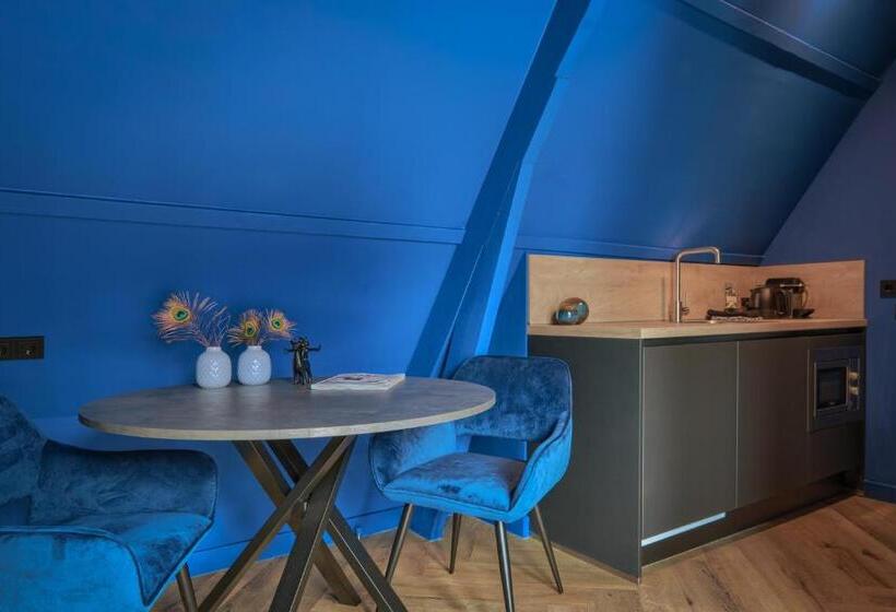 آپارتمان 1 خوابه با تراس, Boutique Hotel The Roosevelt