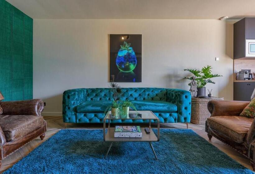 آپارتمان 1 خوابه با تراس, Boutique Hotel The Roosevelt