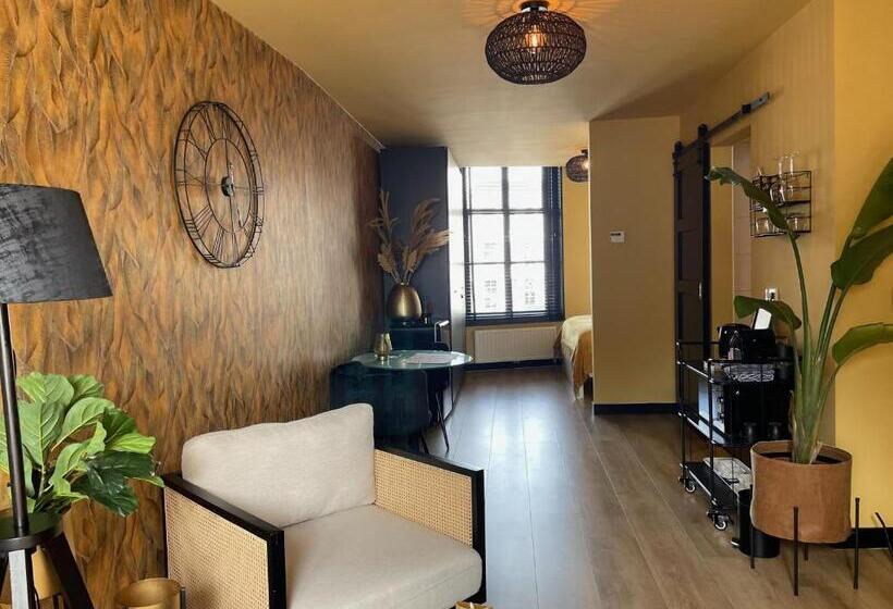 带1个卧室的公寓, Boutique Hotel The Roosevelt
