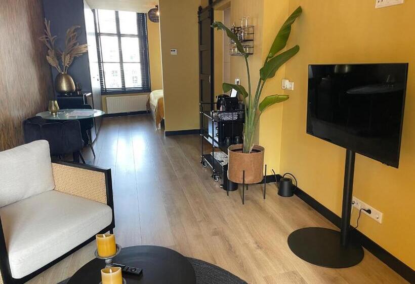 آپارتمان 1 خوابه, Boutique Hotel The Roosevelt