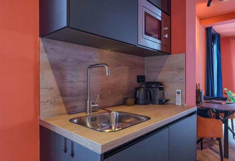 آپارتمان 1 خوابه با تراس, Boutique Hotel The Roosevelt