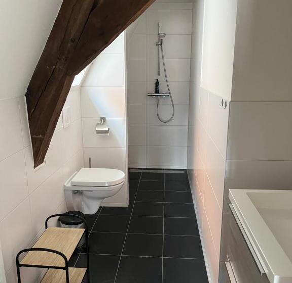 آپارتمان 1 خوابه, Boutique Hotel The Roosevelt