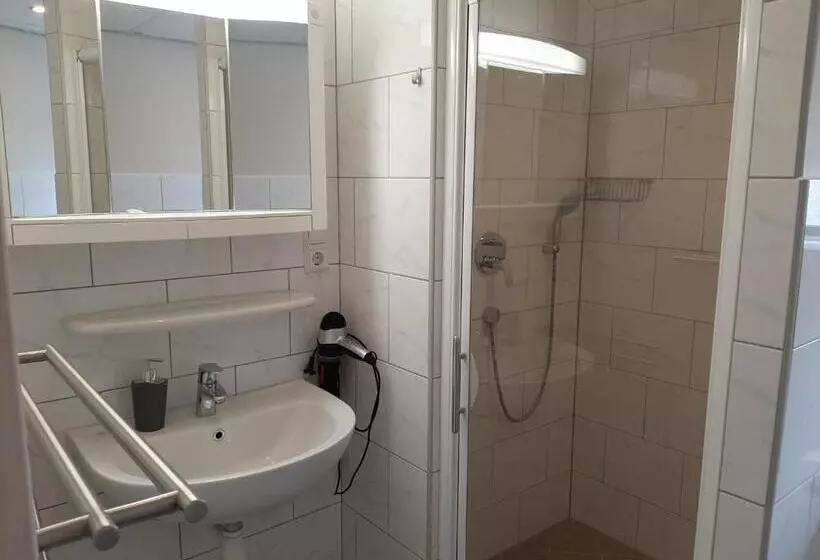 Standard Kolmen Hengen Huone, De Dennen