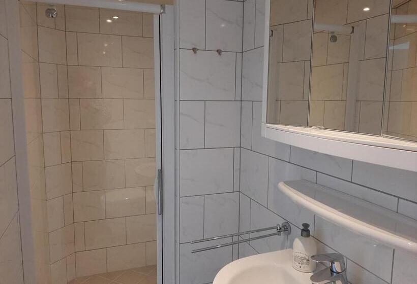 スタンダードシングルルーム, De Dennen