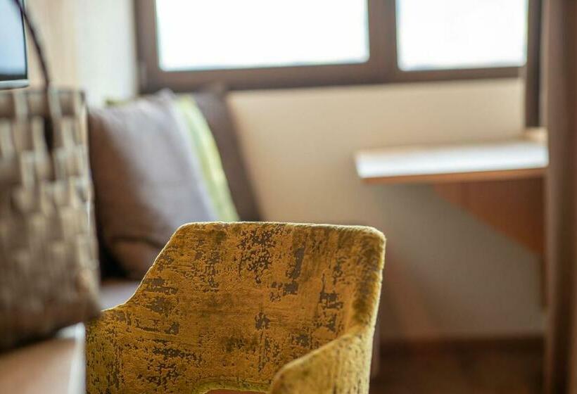 חדר סטנדרט יחיד עם מרפסת, Fischer