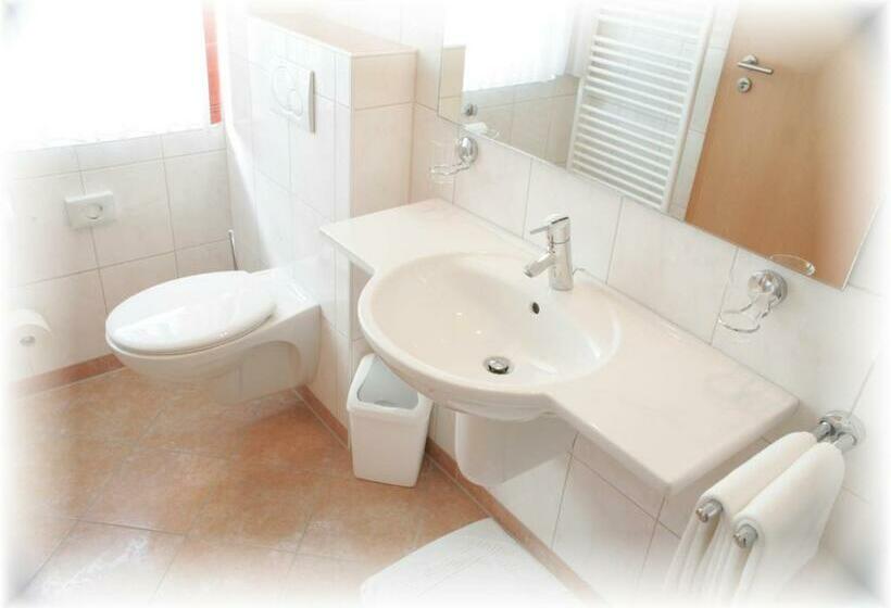 스탠다드 싱글 룸, Clemenswerther Hof