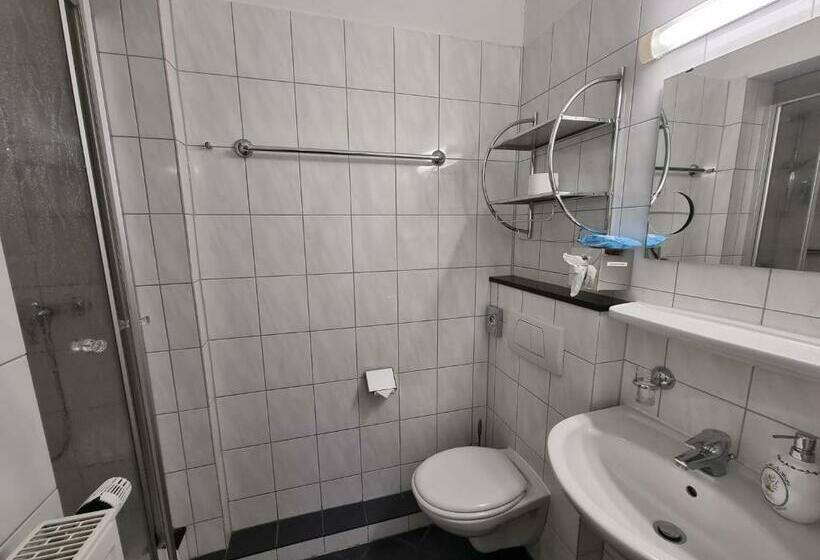 豪华房间, Medebach Zum Schwanenkönig