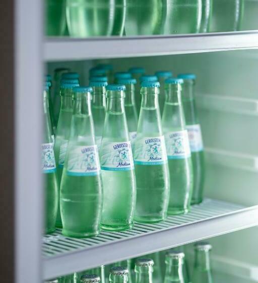 스탠다드 싱글 룸, Mühlenkamp Hotel & Gastronomie