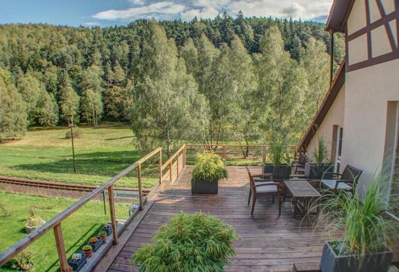 Номер Стандарт с Террасой, Pension Oybin