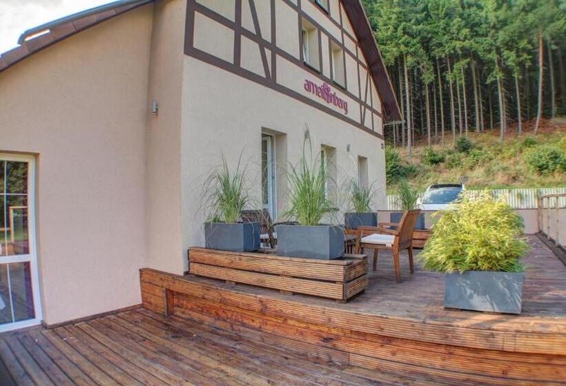 Номер Basic, Pension Oybin