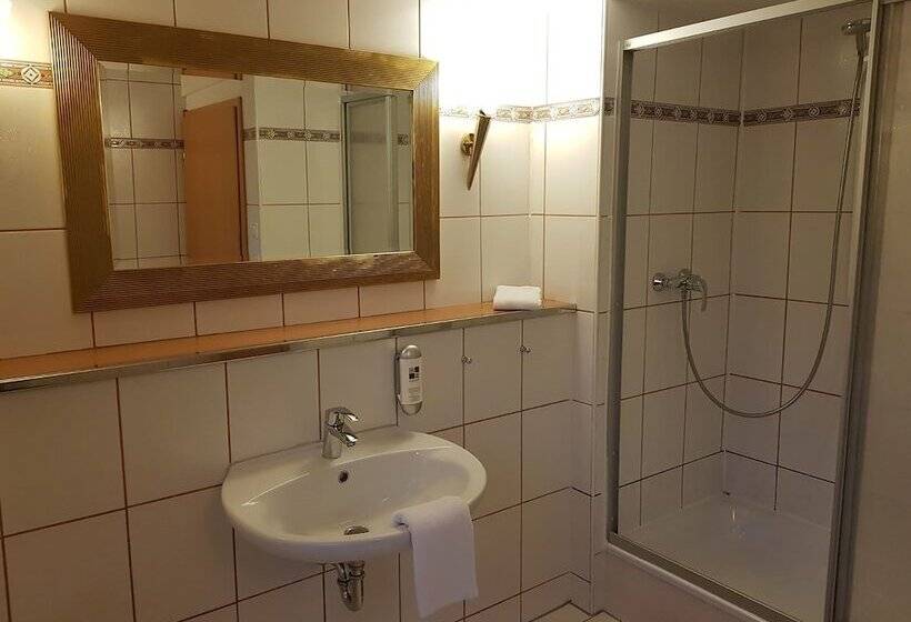 اتاق استاندارد یک نفره, Schäfer