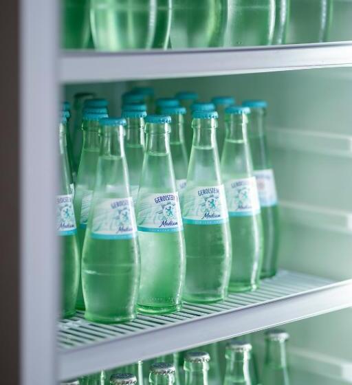 스탠다드 룸, Mühlenkamp Hotel & Gastronomie