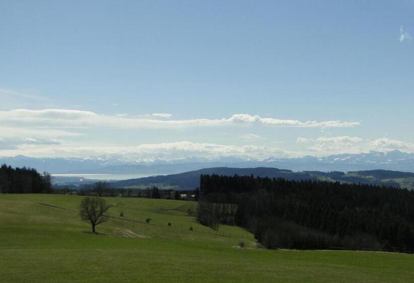 غرفة قياسية مطلة على الجبل, Berggasthof Hochsten