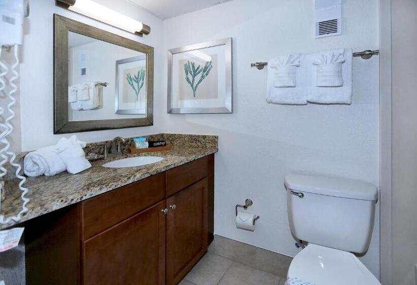 סוויטת 2 חדרי שינה, Atlantic Terrace