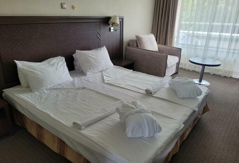 غرفة قياسية مزوَّدة بشُرفة, Sana Spa