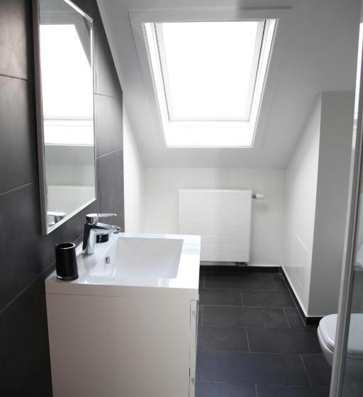 اتاق استاندارد, Satellite