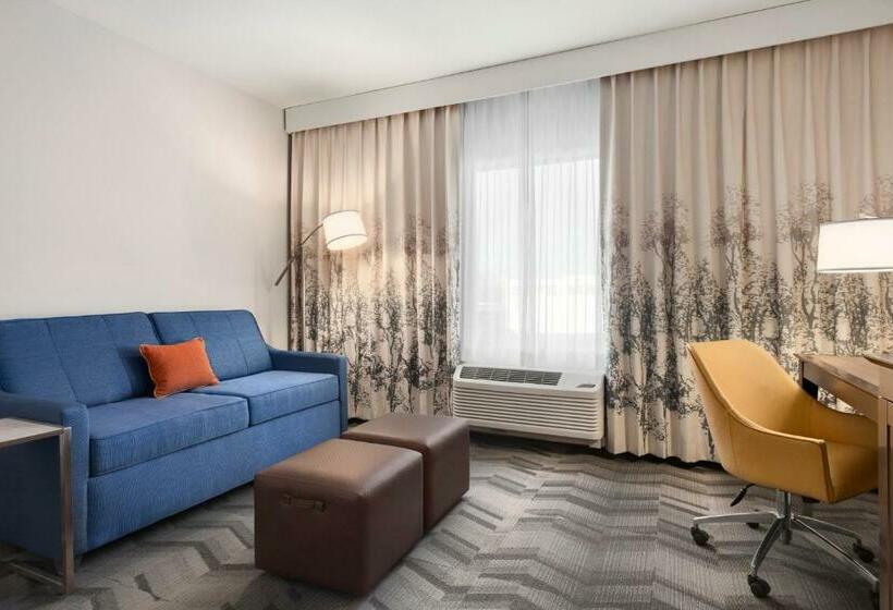 غرفة قياسية سرير كينج, Hampton Inn Turlock