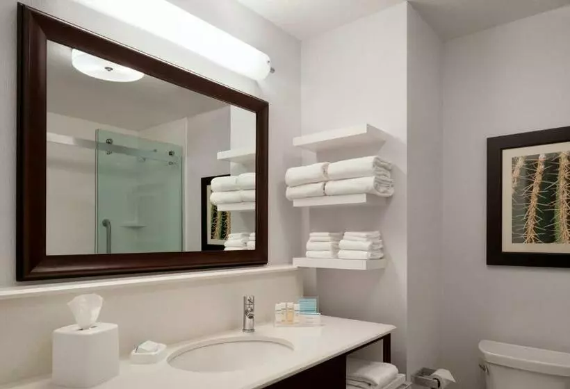 Standard-invahuone King-vuode, Hampton Inn Kanab