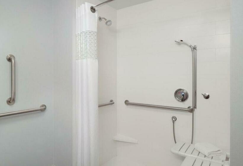 身障者適用キングサイズベッドルーム, Hampton Inn Kanab