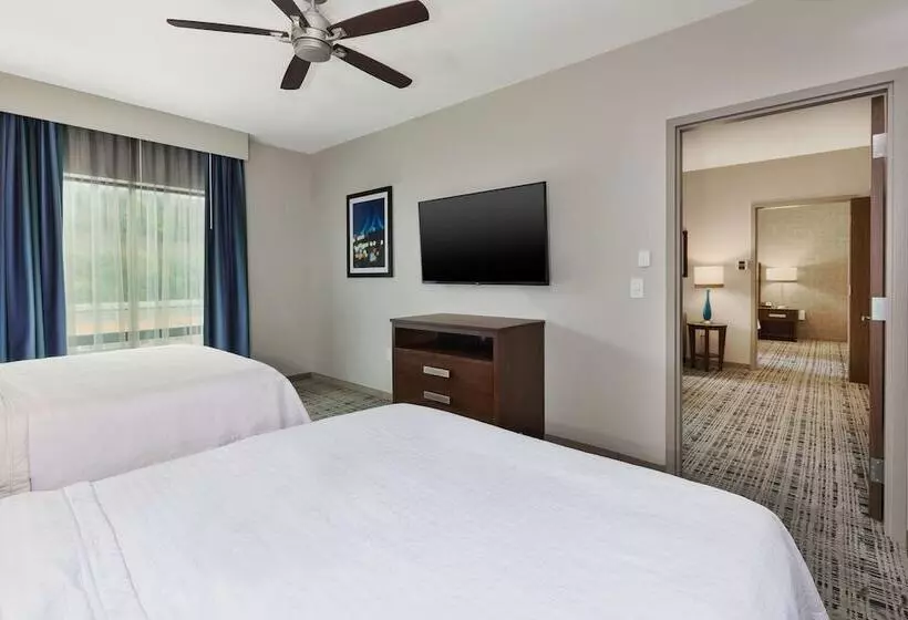 デラックススイート, Homewood Suites By Hilton Pittsburgh Downtown