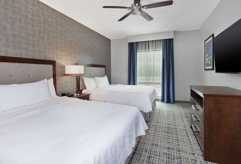 جناح ديلوكس, Homewood Suites By Hilton Pittsburgh Downtown