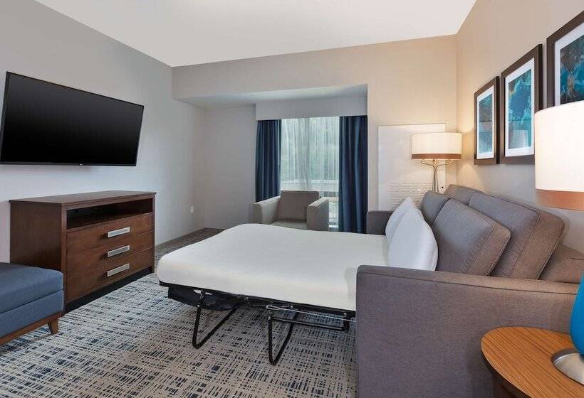 جناح ديلوكس, Homewood Suites By Hilton Pittsburgh Downtown