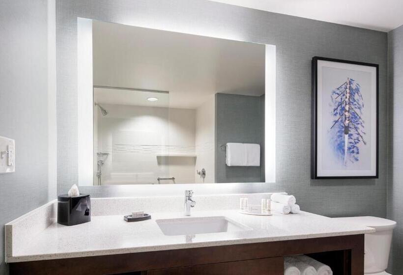 סוויטת 2 חדרי שינה, Residence Inn By Marriott Boston Watertown