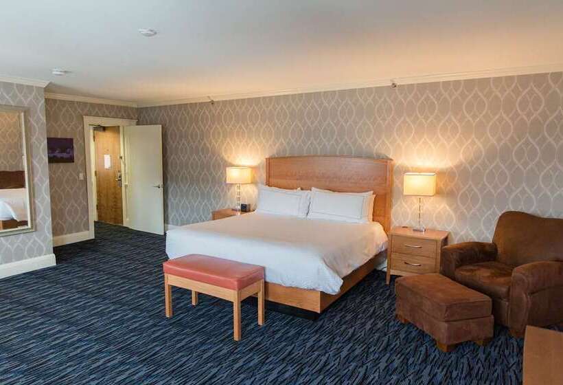 سوئیت با تخت بزرگ, Residence Inn By Marriott Chicago Downtown Magnificent Mile