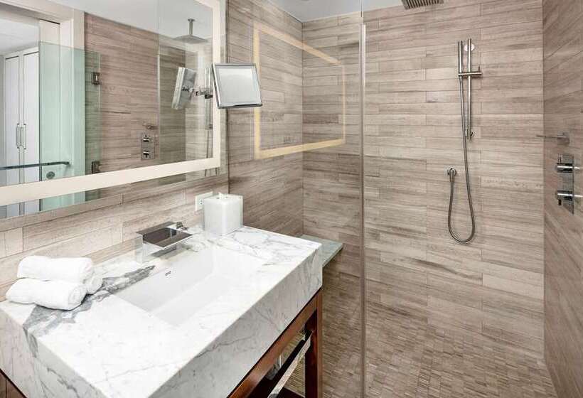 Deluxe Studio, Residence Inn By Marriott Chicago Downtown Magnificent Mile