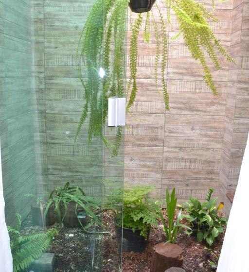 Президентский Люкс, Rillos