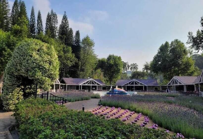 샬레, Unique Garden