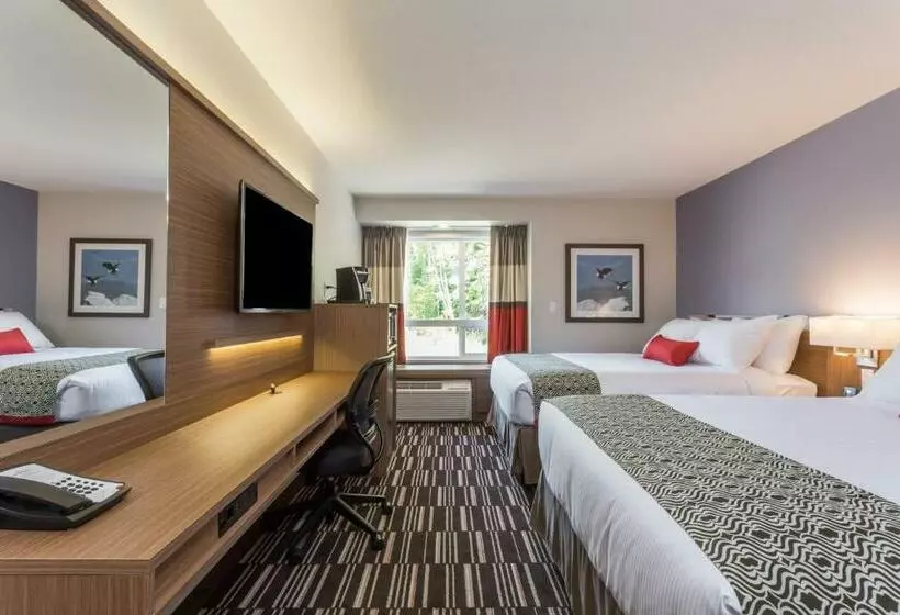 スタンダードルーム, Microtel Inn And Suites By Wyndham Kitimat