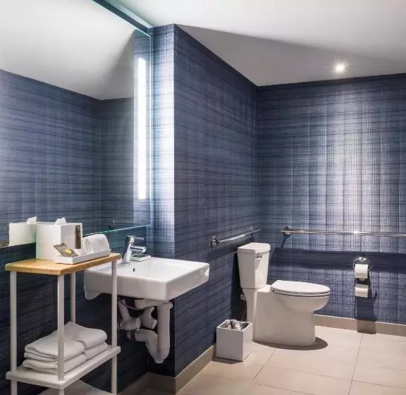 身障者適用スーペリアールーム, Novotel Miami Brickell