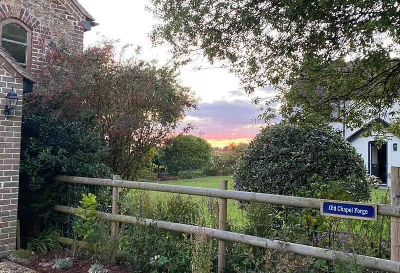 디럭스 스위트 킹 침대, Old Chapel Forge