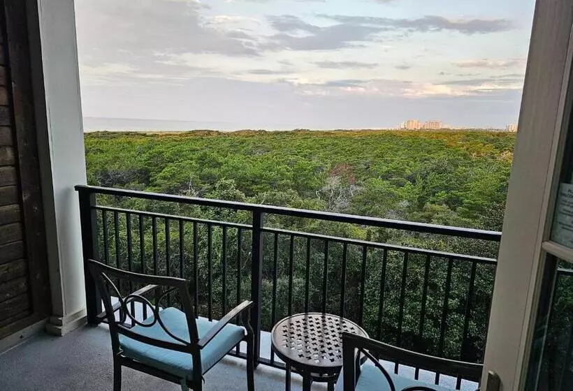 اتاق استاندارد با چشم‌انداز استخر, Henderson Beach Resort