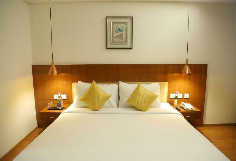 סוויטה, Cj Pallazzio,salem