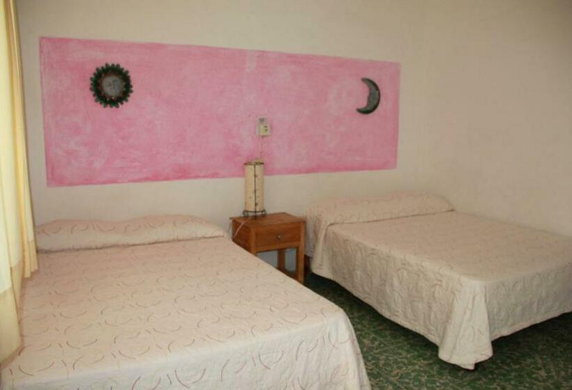 اتاق استاندارد, San Lorenzo