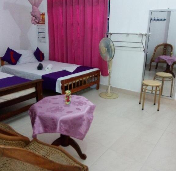 标准三人间, Evening Star Guest Inn