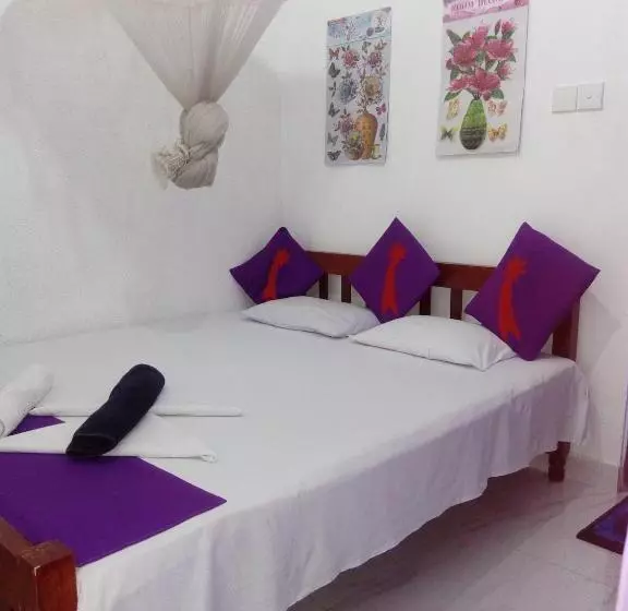 اتاق اکونومی, Evening Star Guest Inn