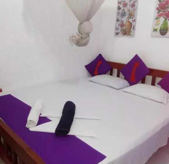 اتاق اکونومی, Evening Star Guest Inn