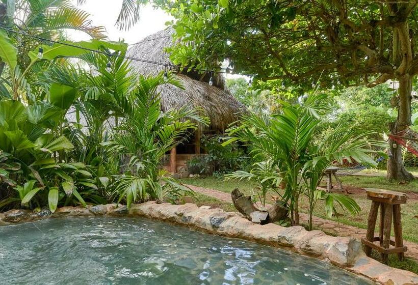 ویلای 1 خوابه, Chalet Tropical Hotel & Restaurant Pizzeria