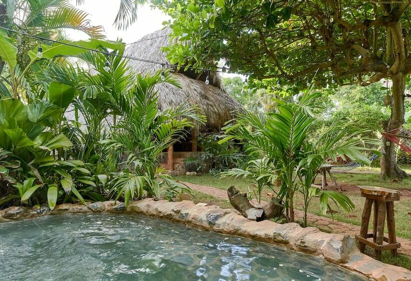 ویلای یک اتاق خوابه با استخر شنا, Chalet Tropical Hotel & Restaurant Pizzeria