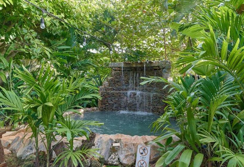 ویلای 1 خوابه, Chalet Tropical Hotel & Restaurant Pizzeria