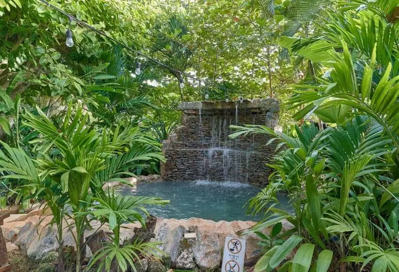ویلای 1 خوابه, Chalet Tropical Hotel & Restaurant Pizzeria