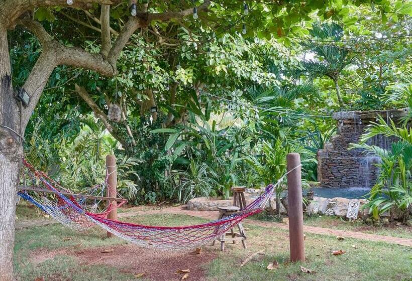 ویلای 1 خوابه, Chalet Tropical Hotel & Restaurant Pizzeria